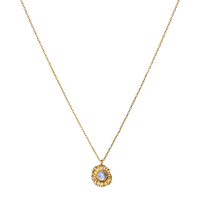 Astra_necklace_guld_maanesten