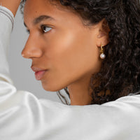 Drakenberg Sjölin Branch Pearl Hoops - Guld