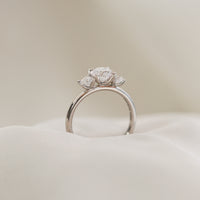 Ernst Forssell Collectées Frances Trestensring