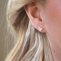 petite-star-pearl-studs-drakenberg