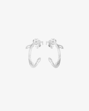 Drakenberg Sjölin Branch Hoops - Silver