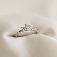 Ernst Forssell Collectées Frances Trestensring