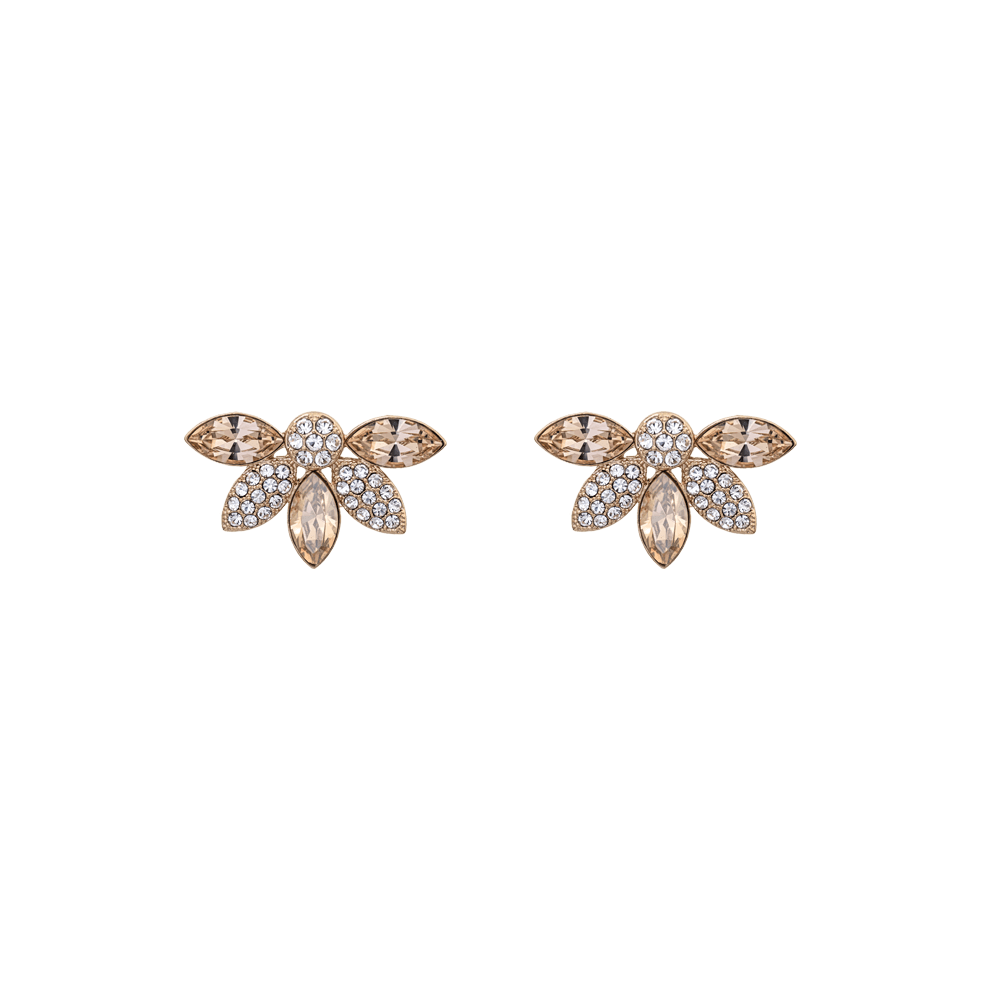 Lily and Rose Lucia earrings champagne