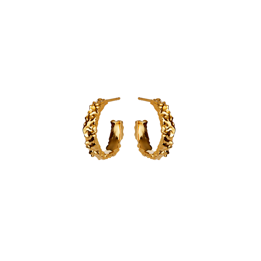 aio-earrings-medium-gold-maanesten