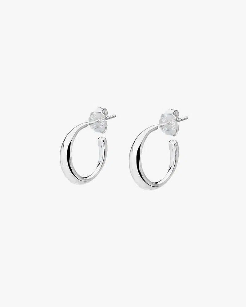   les-amis-hoops-small