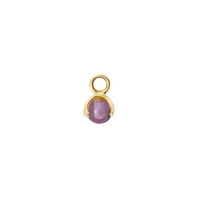 CU Jewellery Letters Stone 2 Amethyst Pend Gold